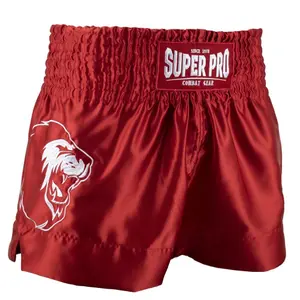 Thai boxing shorts Super Pro Hero image-0