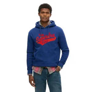 Hooded sweatshirt Superdry Flyers Script image-0