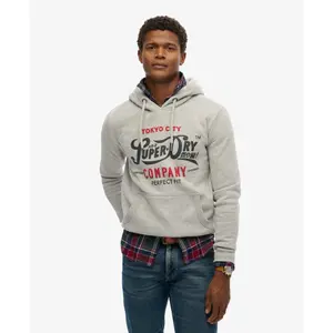 Felpa con cappuccio Superdry Perfect Fit Script image-2