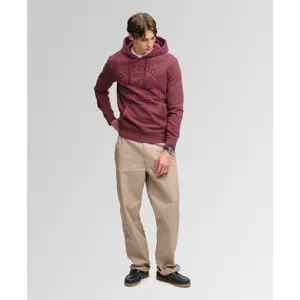 Hooded Sweatshirt Superdry Outdoor Icon image-4