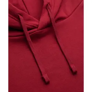 Hooded sweatshirt with logo Superdry Essential Sdco image-4