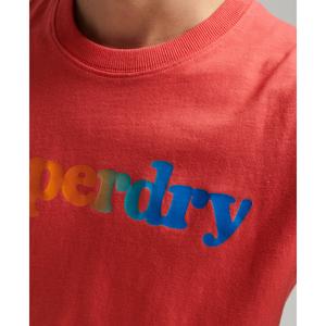 T-Shirt Superdry Vintage Cali image-3