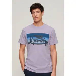 Gestreiftes T-Shirt mit Logo Superdry Cali image-2