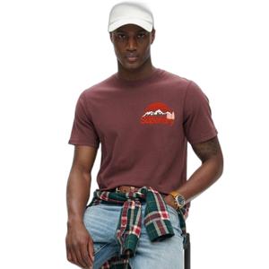 T-Shirt mit Brustmotiv Superdry Great Outdoors image-2