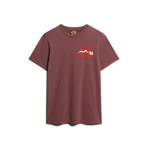 T-Shirt mit Brustmotiv Superdry Great Outdoors image-0