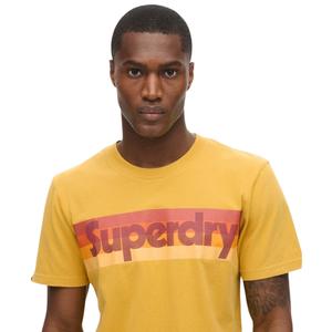 Retro stribet T-shirt med logo Superdry image-4