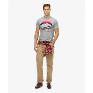 Classic casual T-shirt Superdry Great image-1