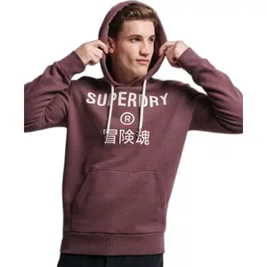 Camisola com capuz Superdry Corporation Logo image-1