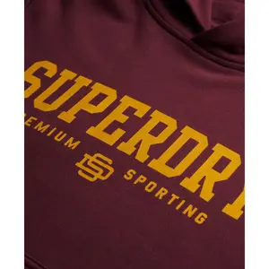 Hoodie Superdry Core Sport image-5