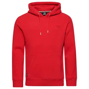 Logo hoodie Superdry Essential image-0