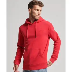 Logo hoodie Superdry Essential image-1