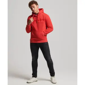 Hoodie Superdry Core Source Logo image-2