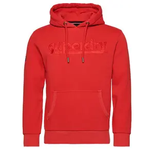 Hoodie Superdry Core Source Logo image-0