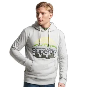 Sweatshirt à capuche Superdry Core Logo Great Outdoors image-0