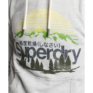 Sweatshirt à capuche Superdry Core Logo Great Outdoors image-4
