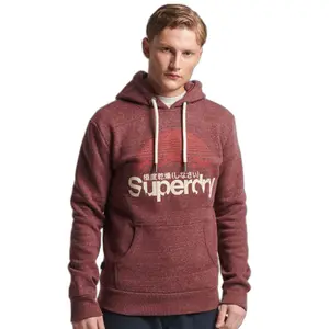 Sweatshirt à capuche Superdry Core Logo Great Outdoors image-1