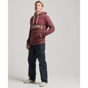 Sweatshirt à capuche Superdry Core Logo Great Outdoors image-2