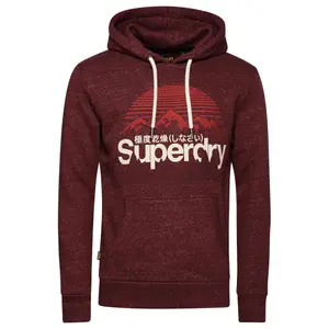Sweatshirt à capuche Superdry Core Logo Great Outdoors image-0