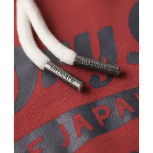 Camisola com capuz Superdry Classic Spirit image-6