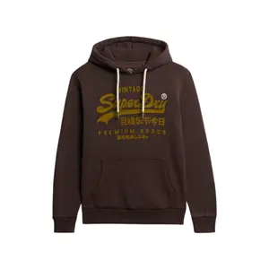 Hooded sweatshirt Superdry Vintage Logo Ton sur Ton image-0