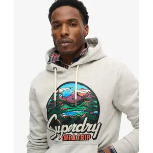 Sudadera con capucha Superdry Travel Postcard Graphic image-4