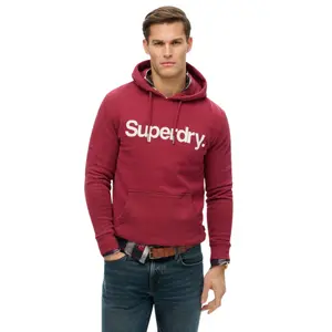 Hooded sweatshirt Superdry Core Logo image-0