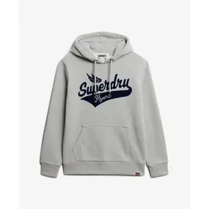 Sudadera con capucha Superdry Flyers Script image-0
