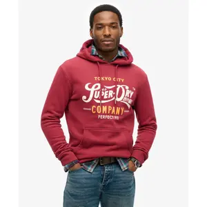 Felpa con cappuccio Superdry Perfect Fit Script image-2