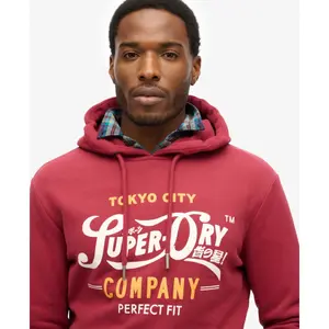 Felpa con cappuccio Superdry Perfect Fit Script image-4