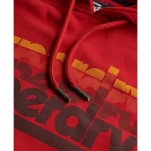 Hooded sweatshirt Superdry Stacked image-5