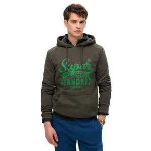 Hooded sweatshirt Superdry Standard Script image-1