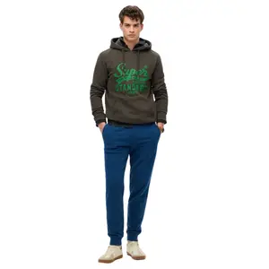 Hooded sweatshirt Superdry Standard Script image-2