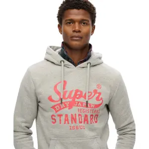 Hooded sweatshirt Superdry Standard Script image-3