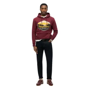 Hooded sweatshirt Superdry Sun Tab image-2
