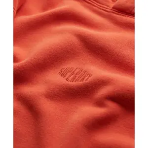 Hooded sweatshirt Superdry Micro Logo image-0