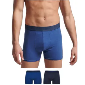 Boxershorts aus Bio-Baumwolle Superdry (x2) image-2