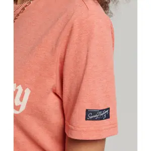 T-shirt femme Superdry Pride In Craft Vintage image-3