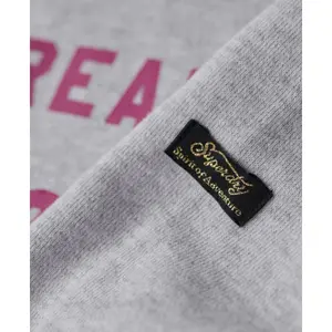 Women's Hoodie Superdry Tonal Vintage Logo Graphic image-4