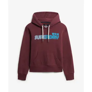 Women's hooded sweatshirt Superdry Faded Core image-0