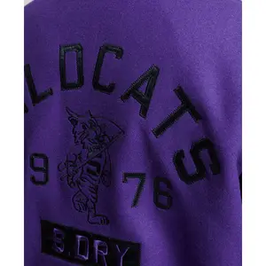 Teddy vrouw Superdry Vintage Mixed Varsity image-3