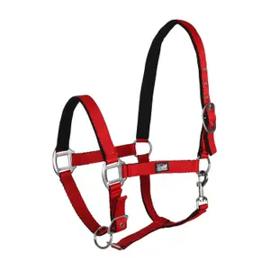 Nylon Halfter für Pferde mit weicher Polsterung Supreme image-0