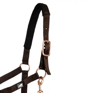 Set aus Halfter und Longiergurt für Pferde Supreme image-1