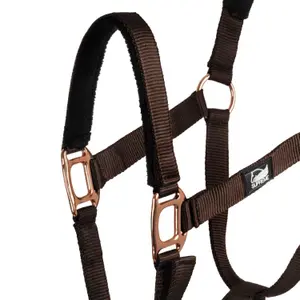 Set aus Halfter und Longiergurt für Pferde Supreme image-2