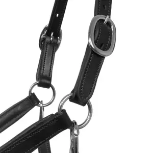 Cavezza in cuoio Supreme image-3