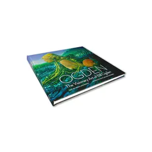 Libro Surf System Ogden image-1