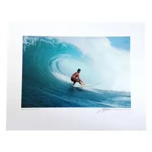 Poster Surf System Divine Jeff Collec Occy