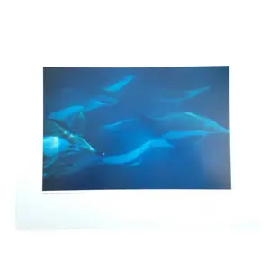 Poster Surf System
