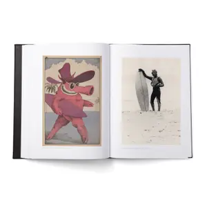 Book Surfersjournal Morning of the Earth image-2
