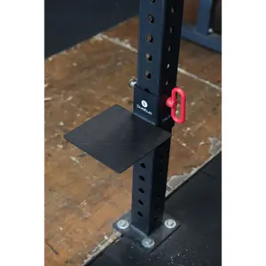 Step Sveltus image-4