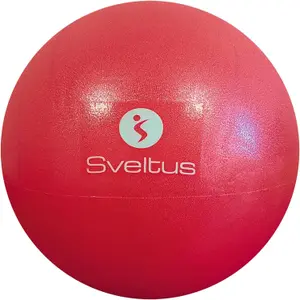 P.E. Soccer Ball  Sveltus image-0